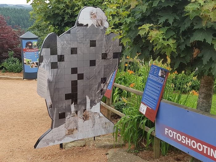 Am Eingang zur Greifvogelwarte begrüßt ein überdimensionaler Andenkondor unsere Besucherinnen und Besucher.